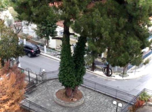 Panorama Village View Apartment