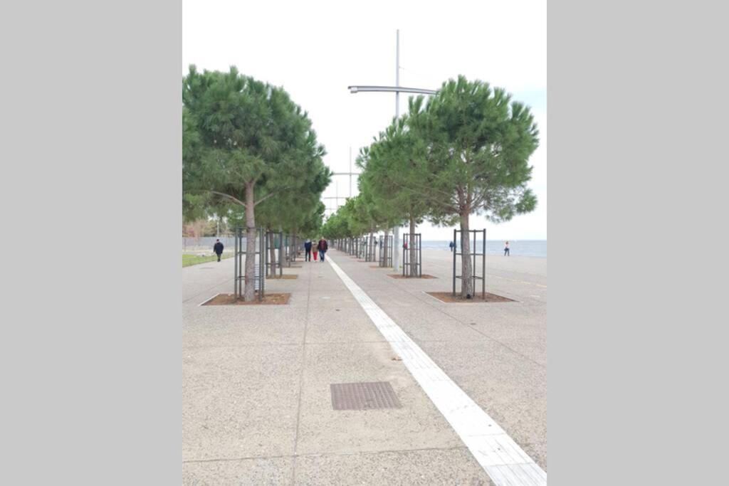 City Center Vibes Seaside *