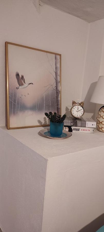 Apartamento Loft Skg