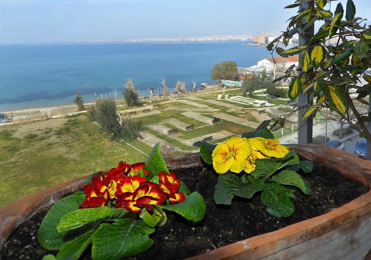 Seafront Family & Free Parking, The Cruiseflat *