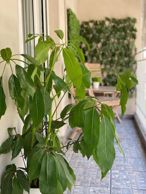 Apartment Garden Boutique Thessaloniki