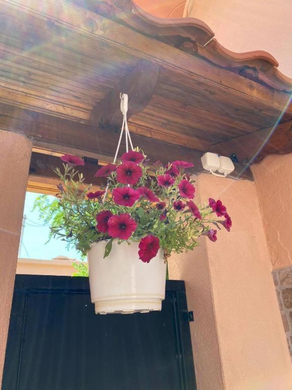 Appartement Ano Poli 5