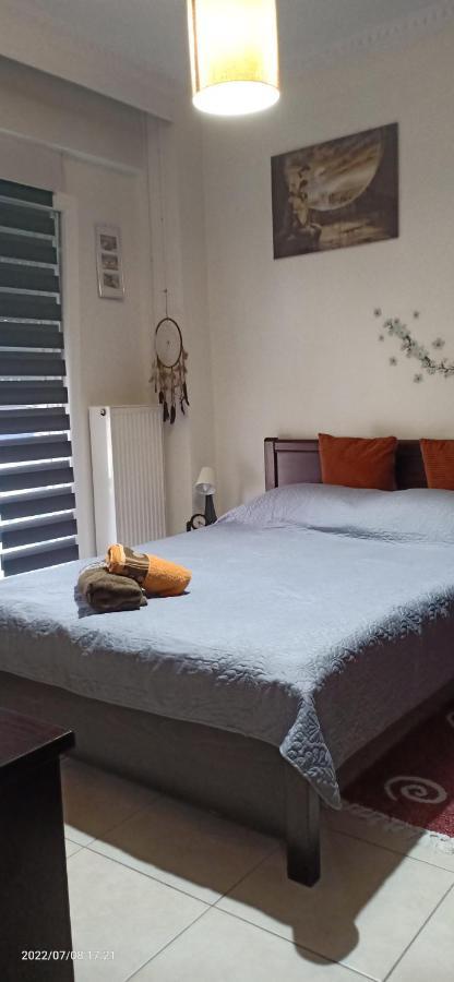 Modern&comfortable Euosmos
