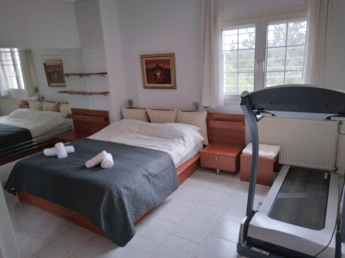 Villa In Panorama, Thessaloniki, With A Swimming Pool. Host: Mr. George