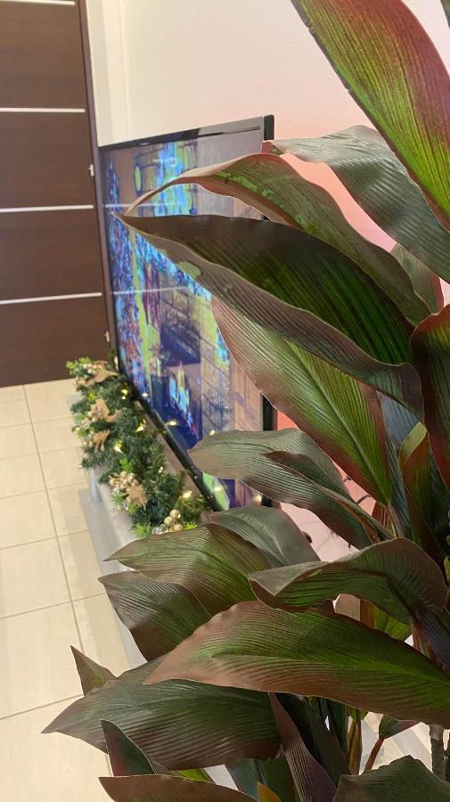Garden Boutique