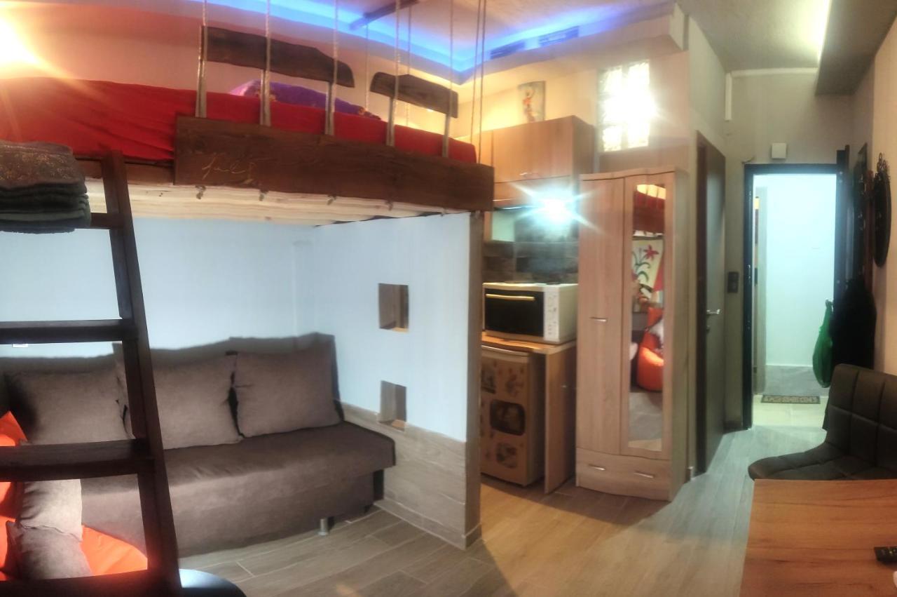 Daire Tulip Mini Studio *