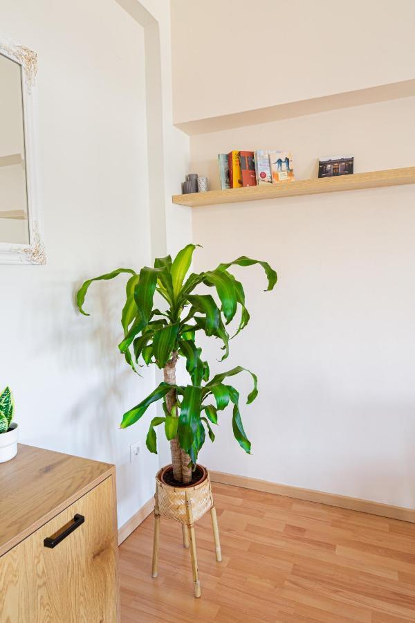 Venus Apartment Thessaloniki