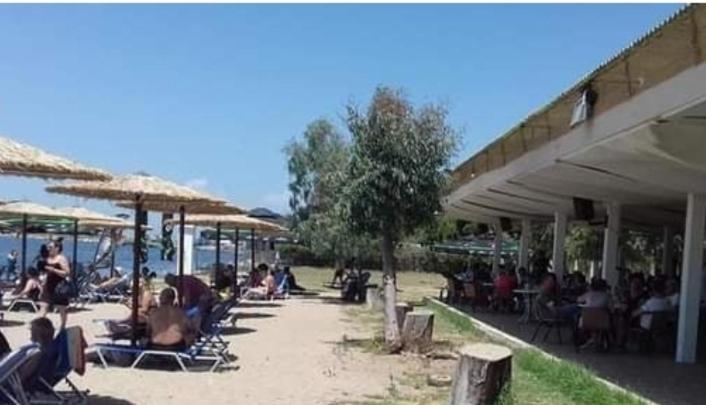 Sea View Across The Golden Bay Beach, Cosy Sunny, Spacious In Aretsou Kalamaria Apartamento