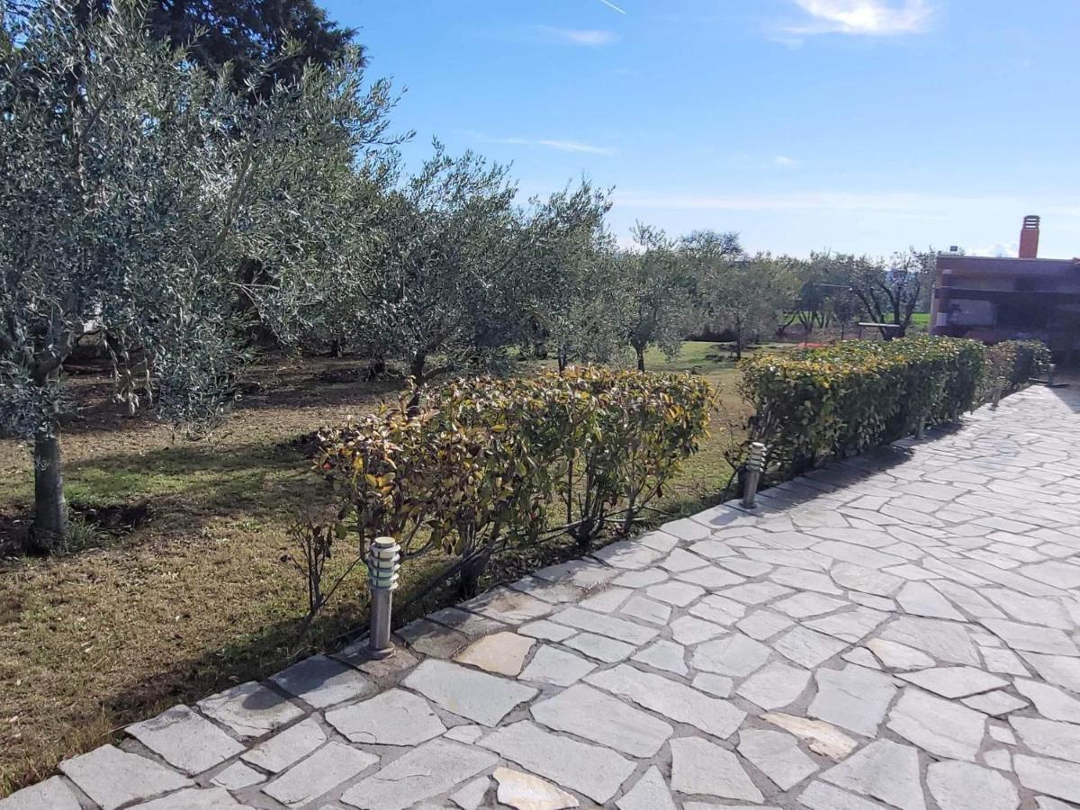 Narcis House Holiday home Thessaloniki