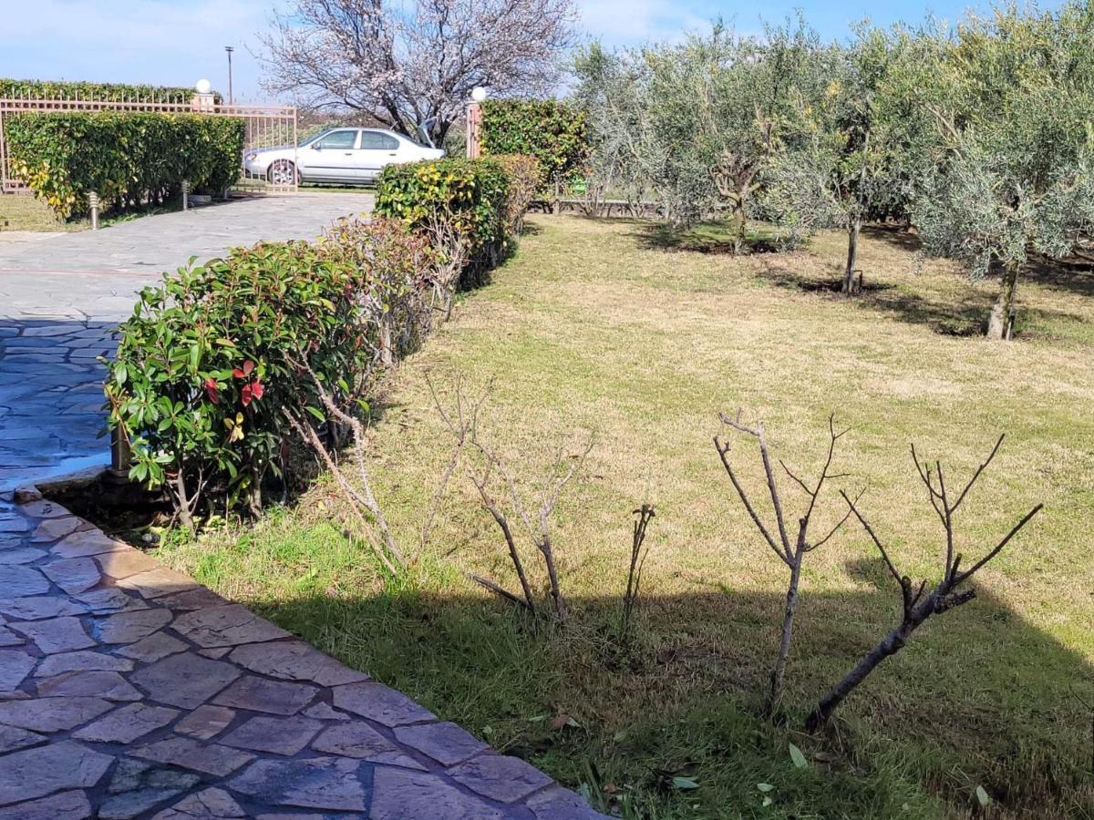 Holiday home Narcis House
