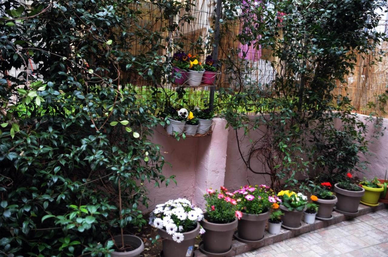 Garden House/thessaloniki/wifi Apartment Thessaloniki
