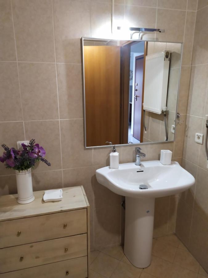 Apartment Tzikas *
