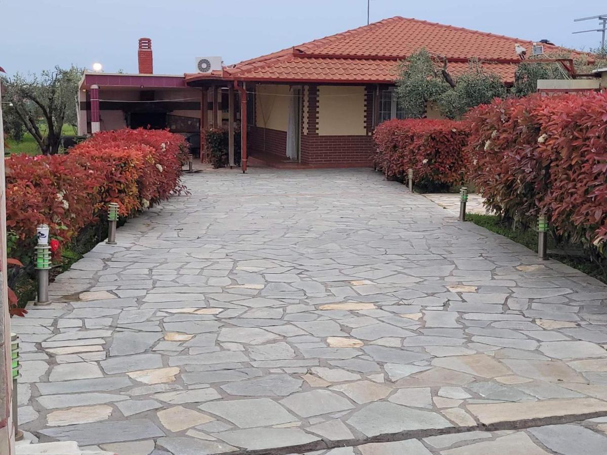 Narcis House Holiday home Thessaloniki