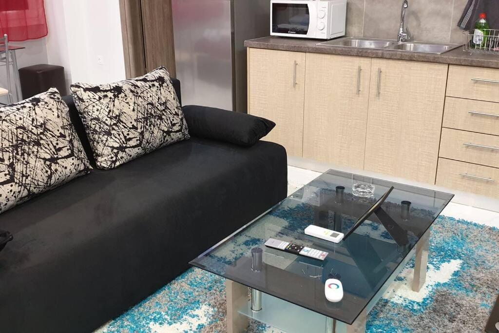 Luxury In Downtown Apartment