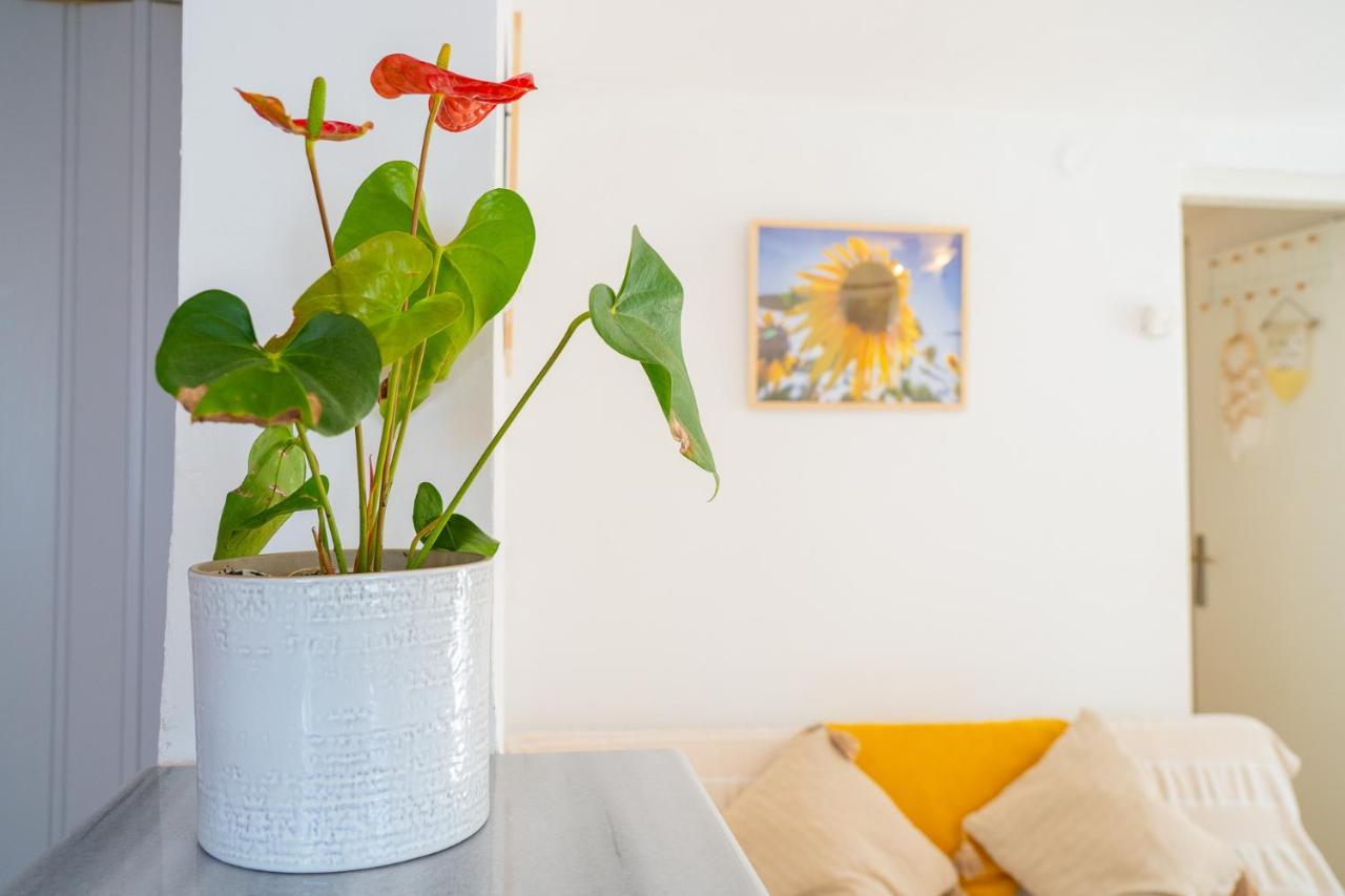 Vakantiehuis Little - Walk To The
