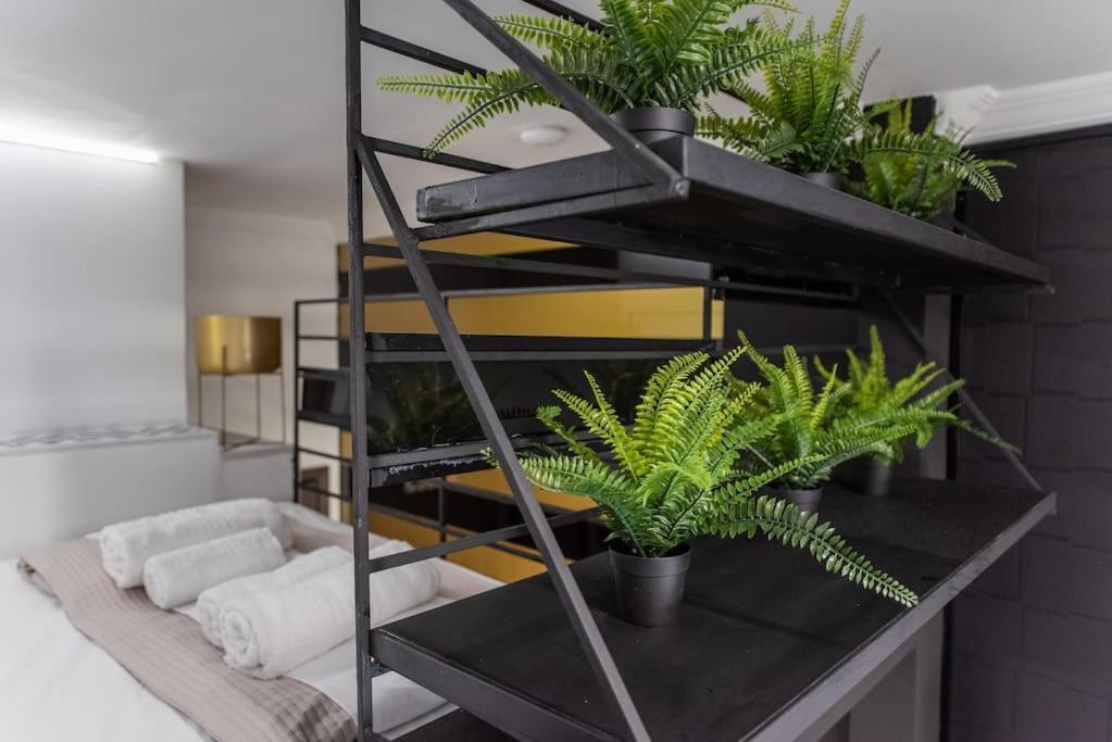 Lotus_aristotelous_loft *
