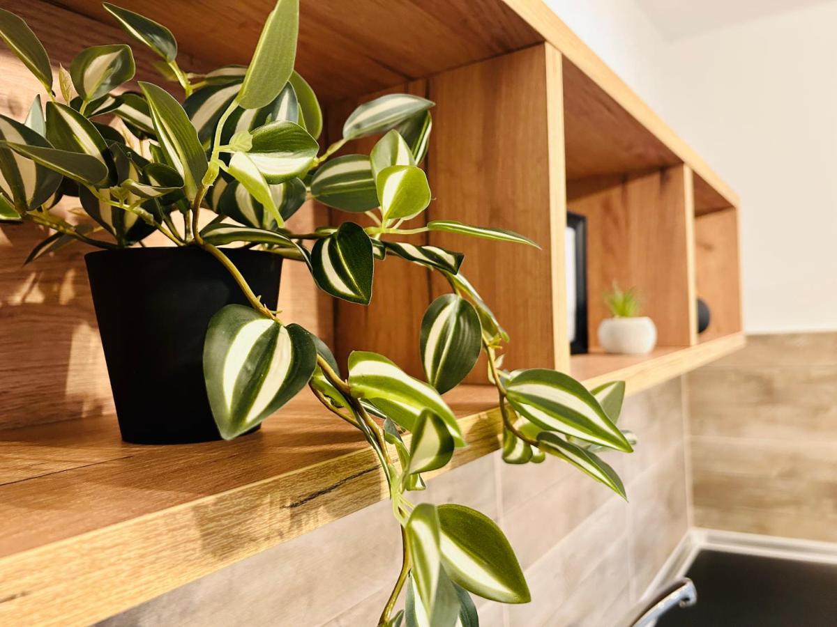 Ithaca σπίτι με αυτόνομη είσοδο Apartment *