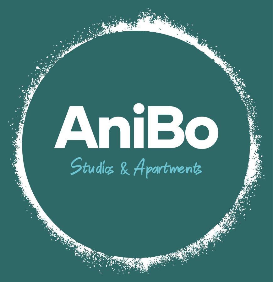 Anibo And Zero Point 46 Daire