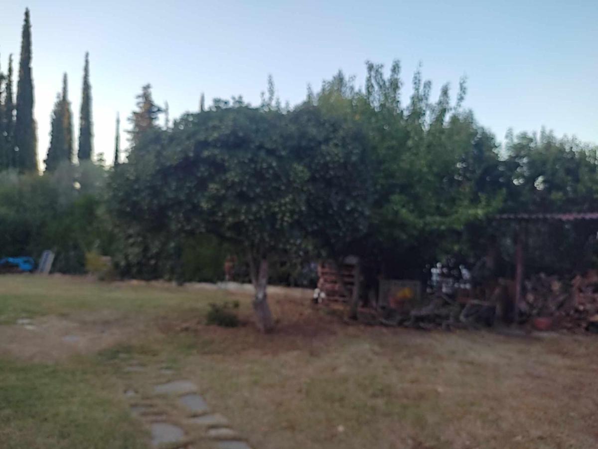 Elaiones House