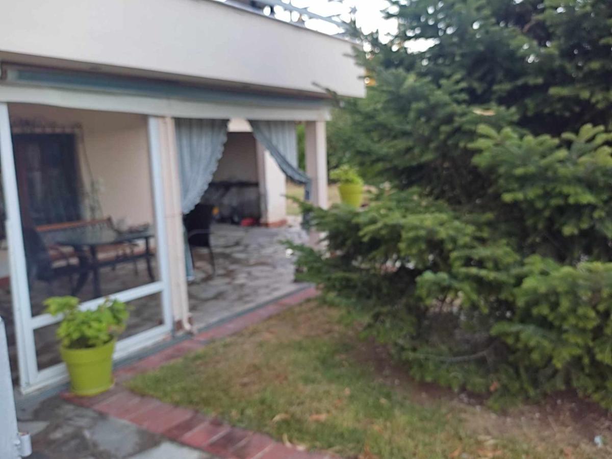 Elaiones House
