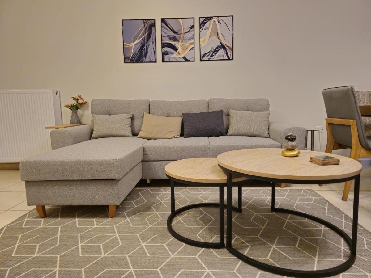 Pilea Comfy * Thessaloniki
