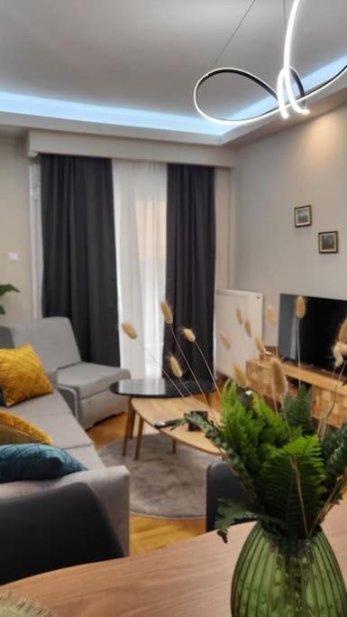 Travellerspot_ii Cozy 2br Apt Apartment