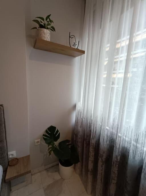 Apartamento Callisto *