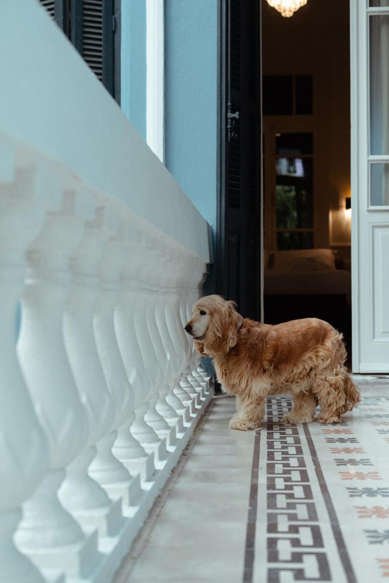 Clio, A Luxury Collection