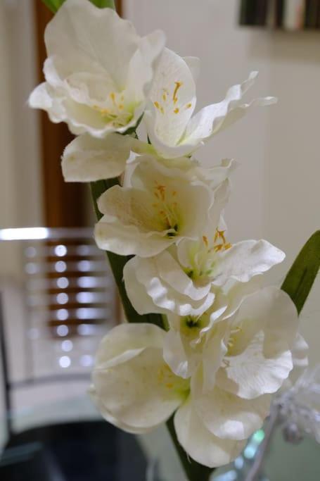 Daire White Tower Office-apartment Selanik