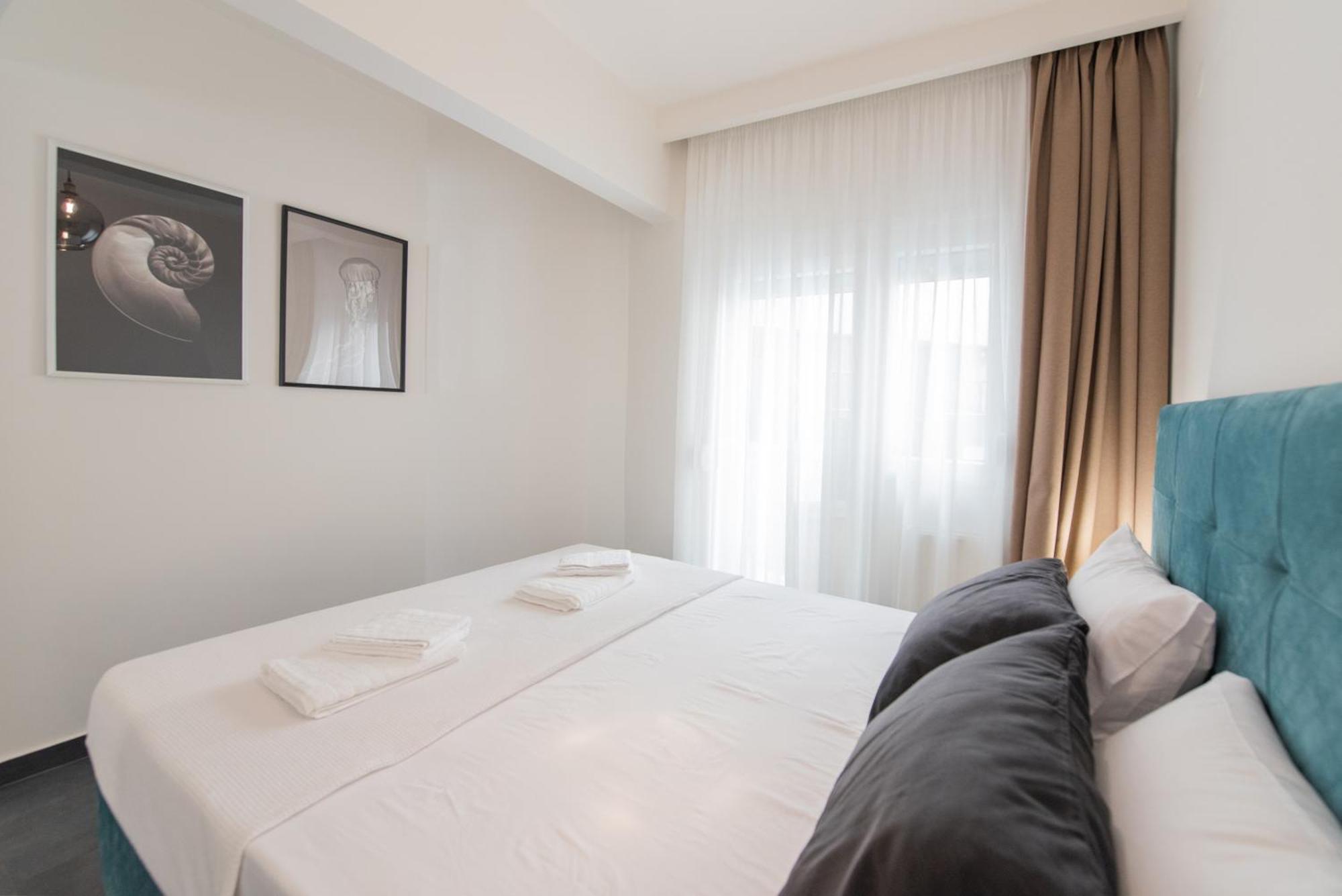 Sansevieria Thessaloniki