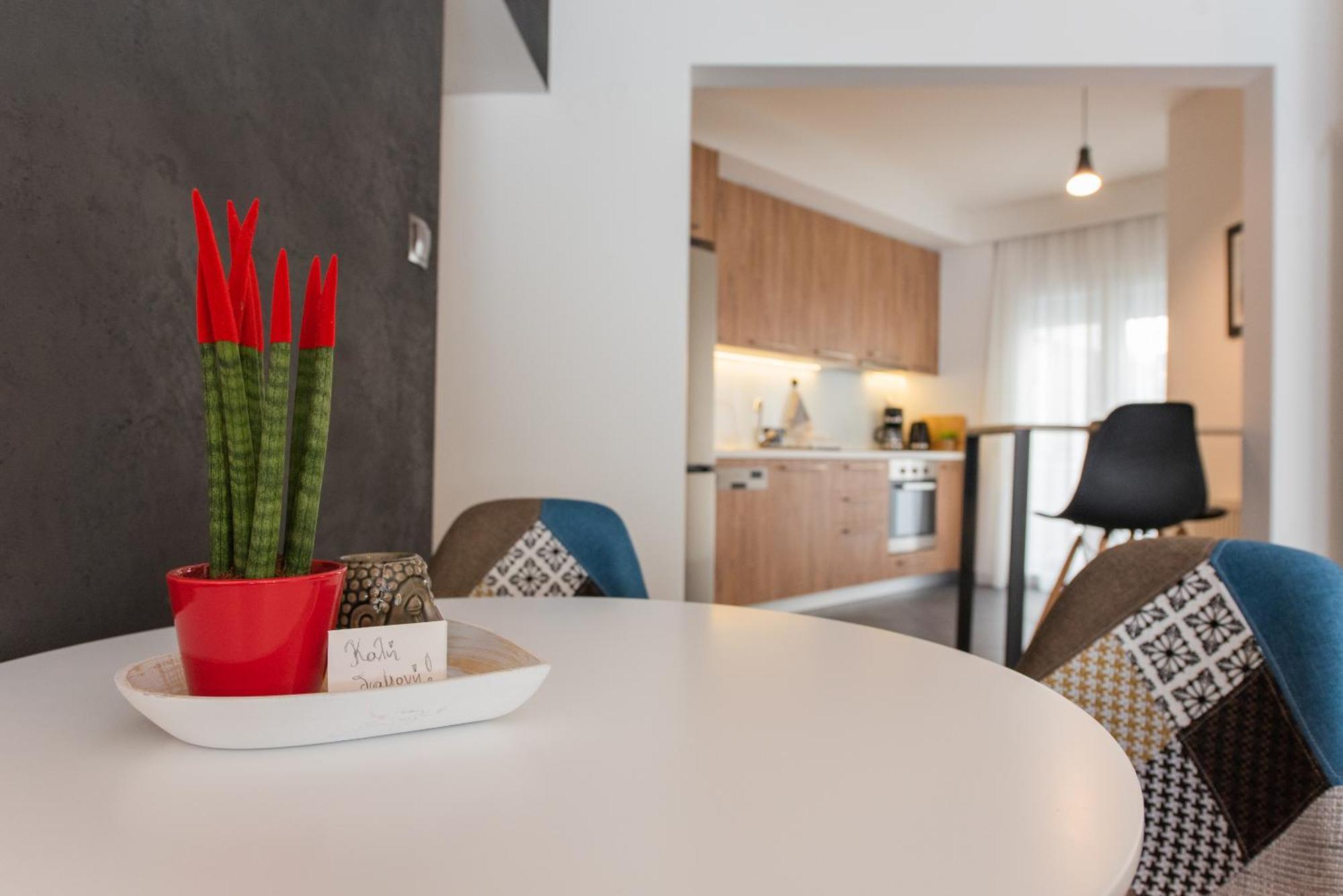 Sansevieria Appartement