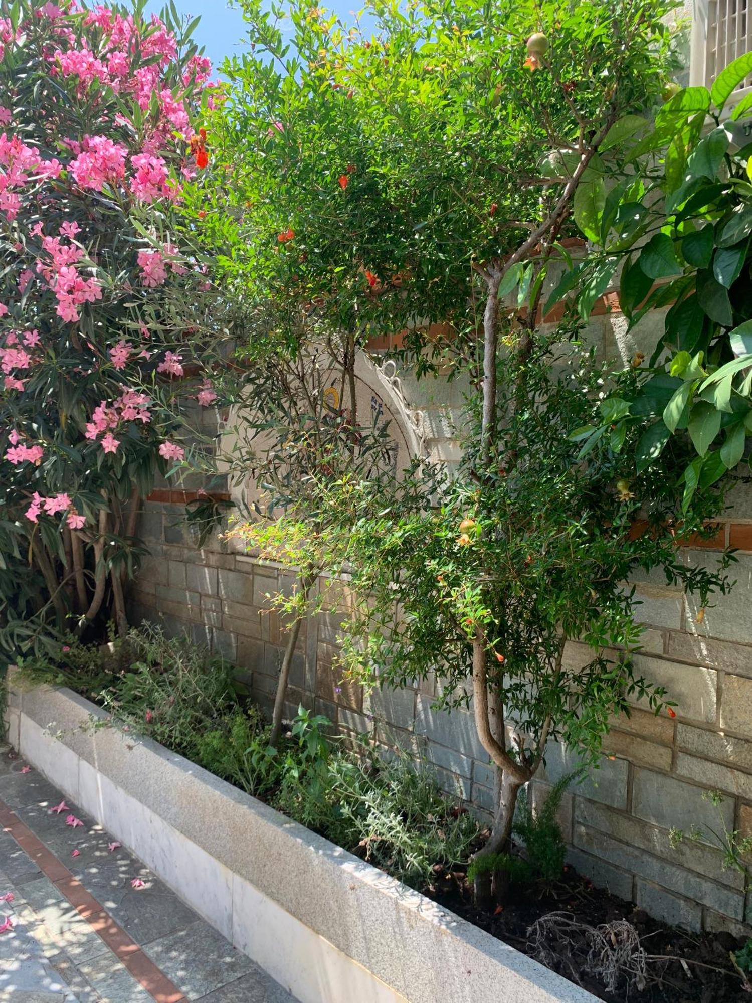 Apartment Gemuetliches In Ano Poli