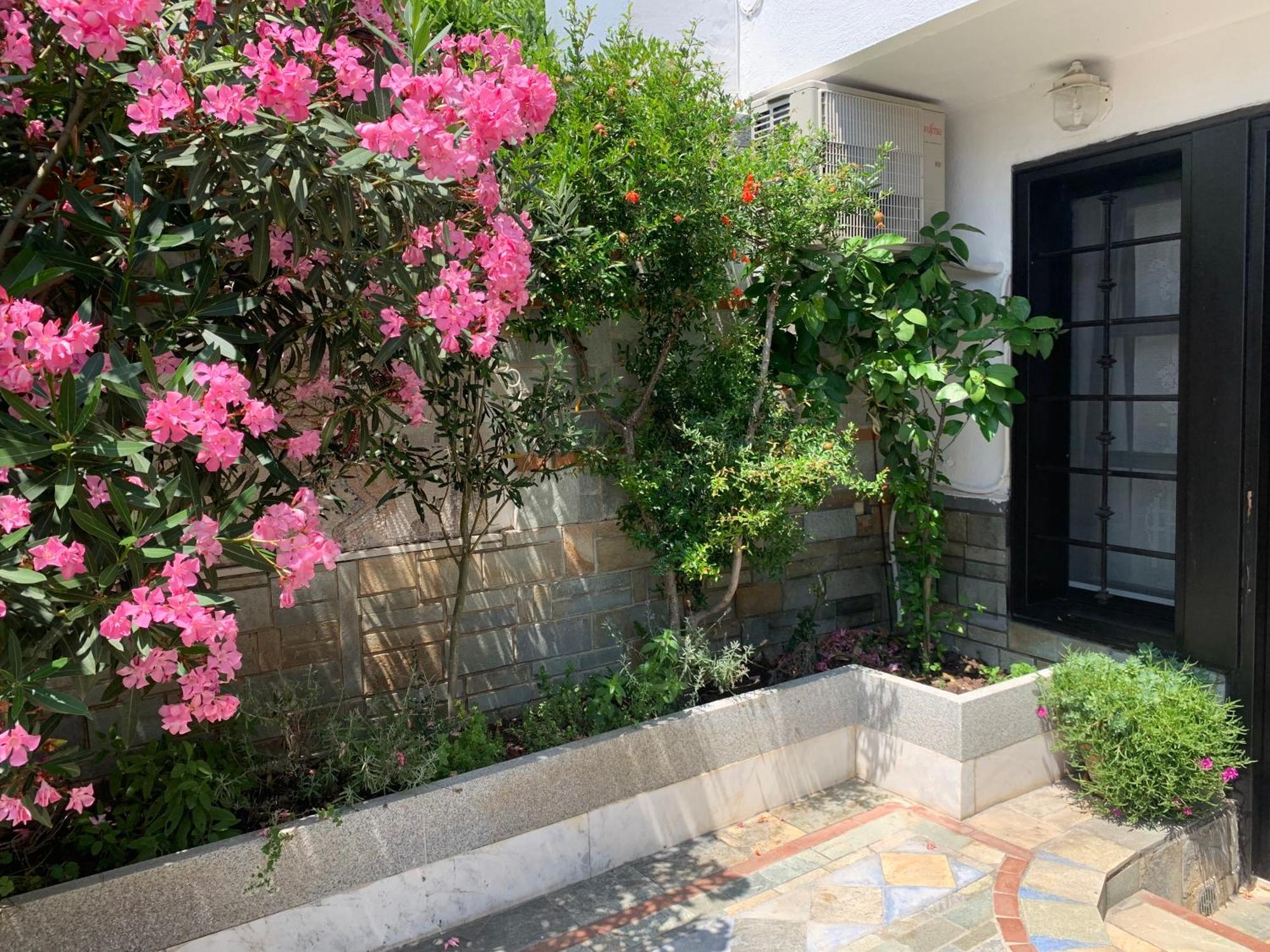 Gemuetliches In Ano Poli Apartment *