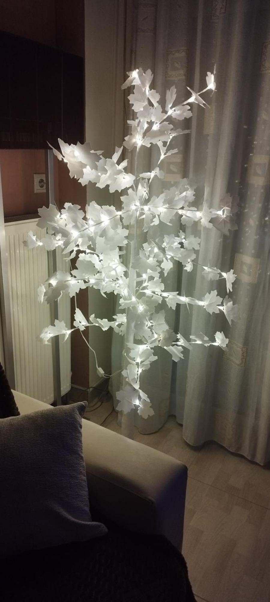 Rania's House *