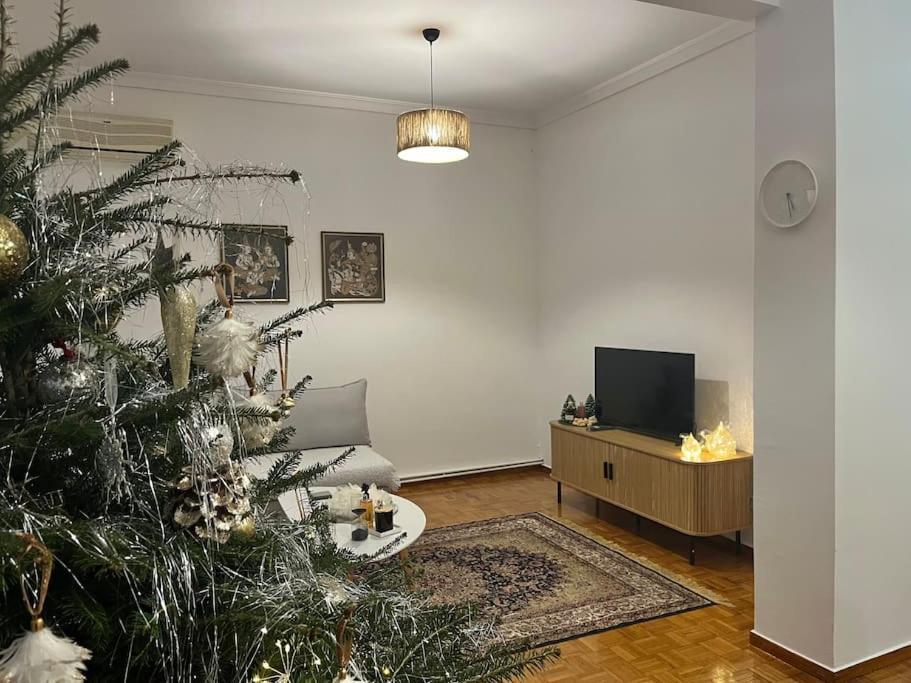 Daire Skg Center *