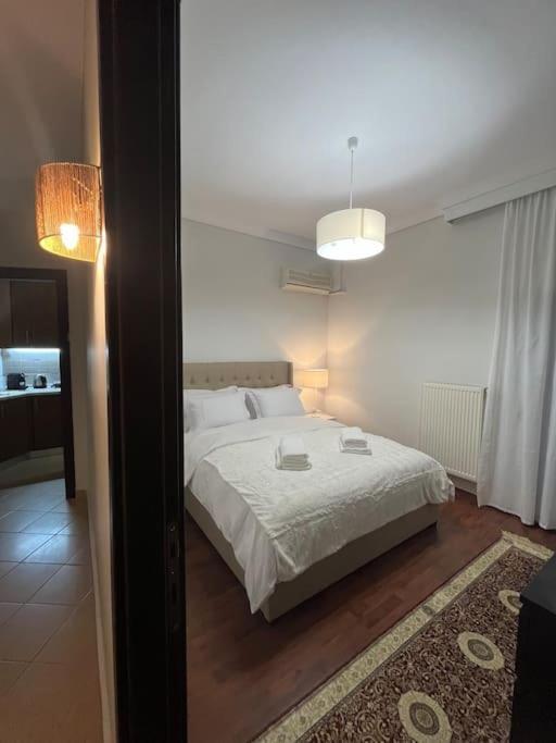 Skg Center Daire