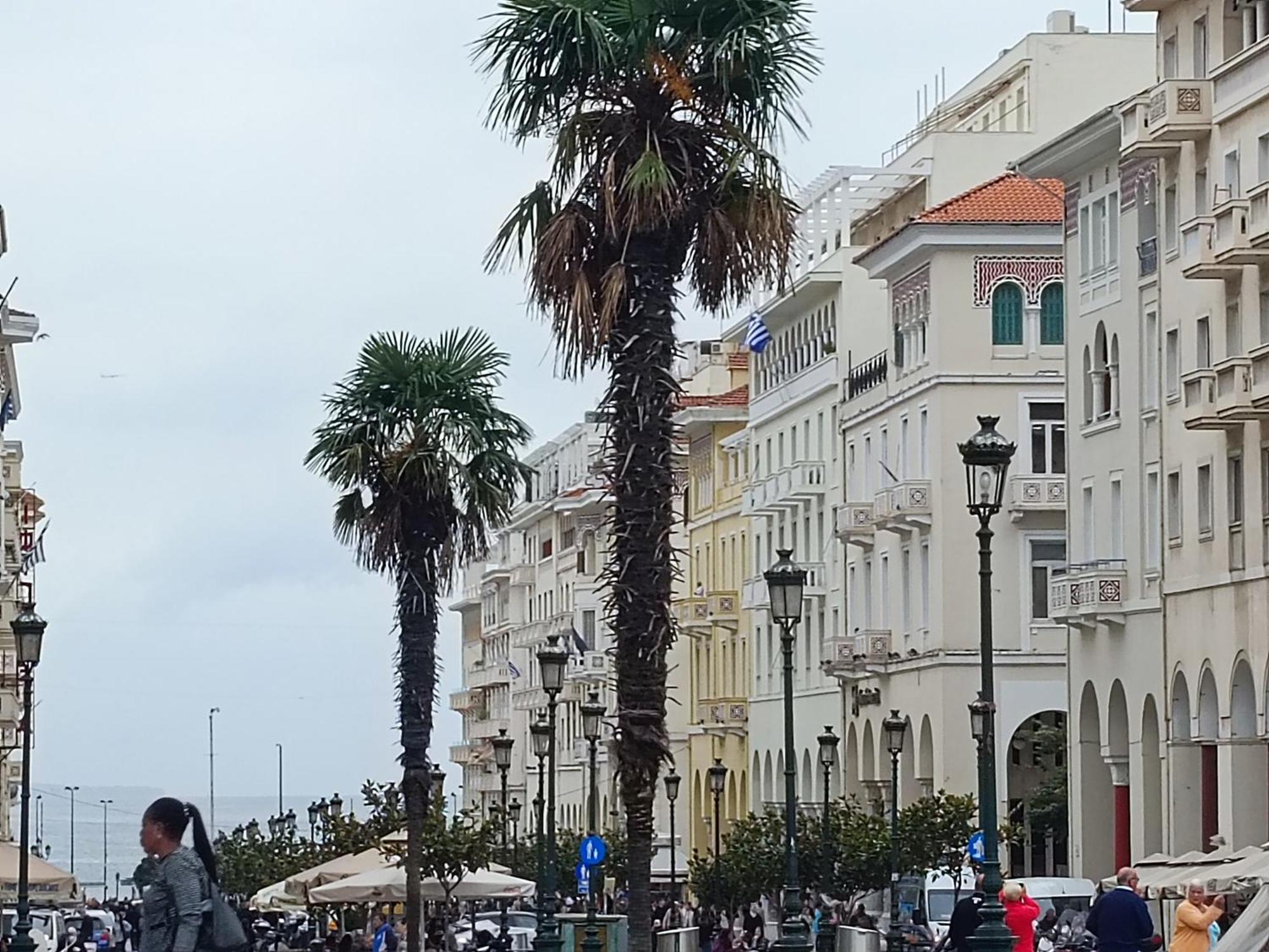 Ibis Studio Close To Aristotelous Square Apartment