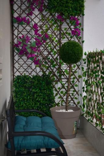 Appartement Domenica 1