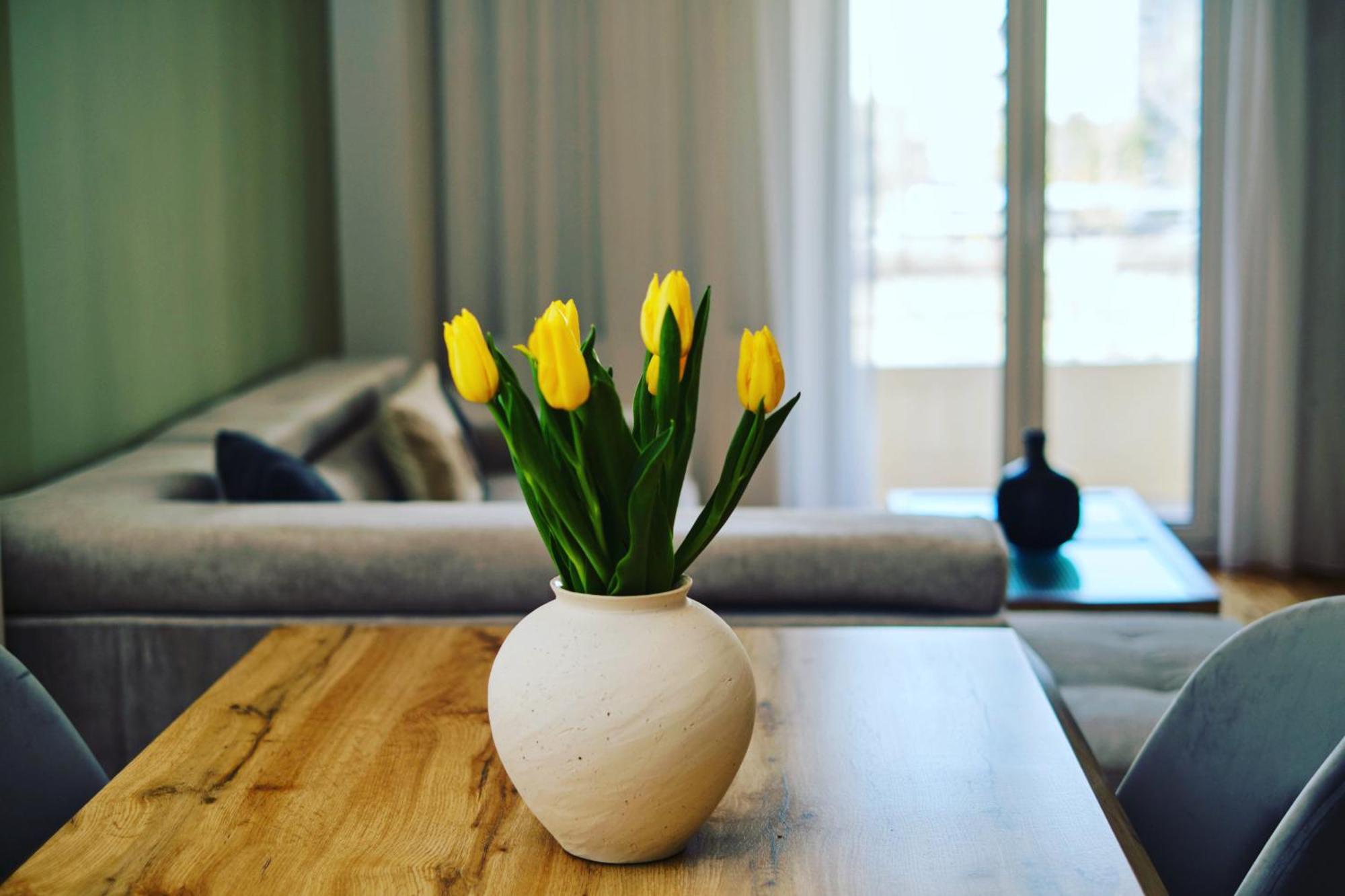 “the Elysian” Center Apartment