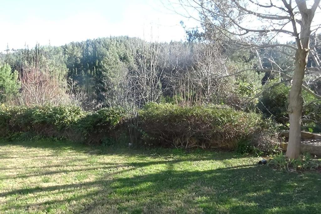 Villa κατοικία με θέα στο δάσος