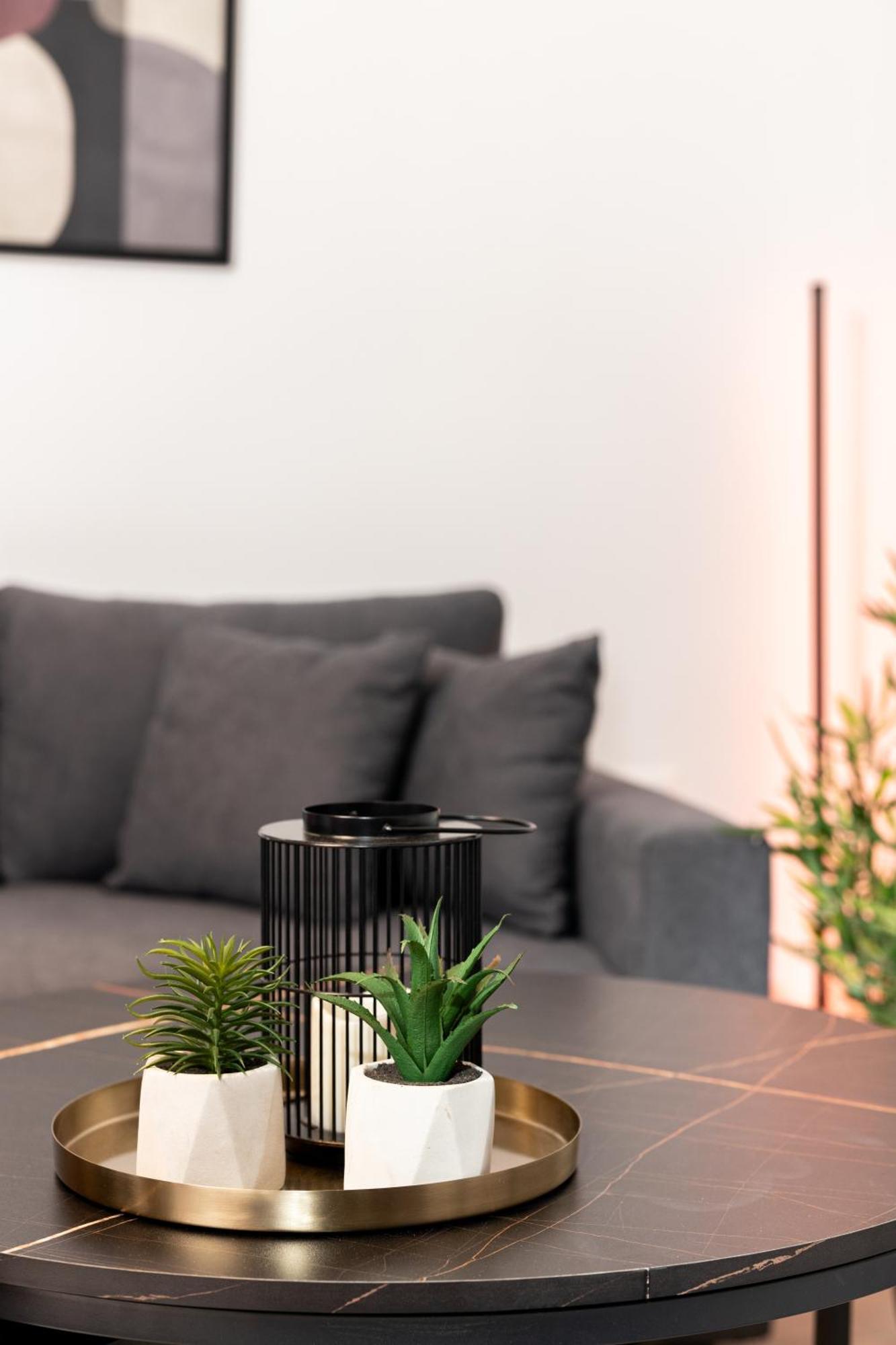 Daire Velvet Luxury In The Center By Binobi! *