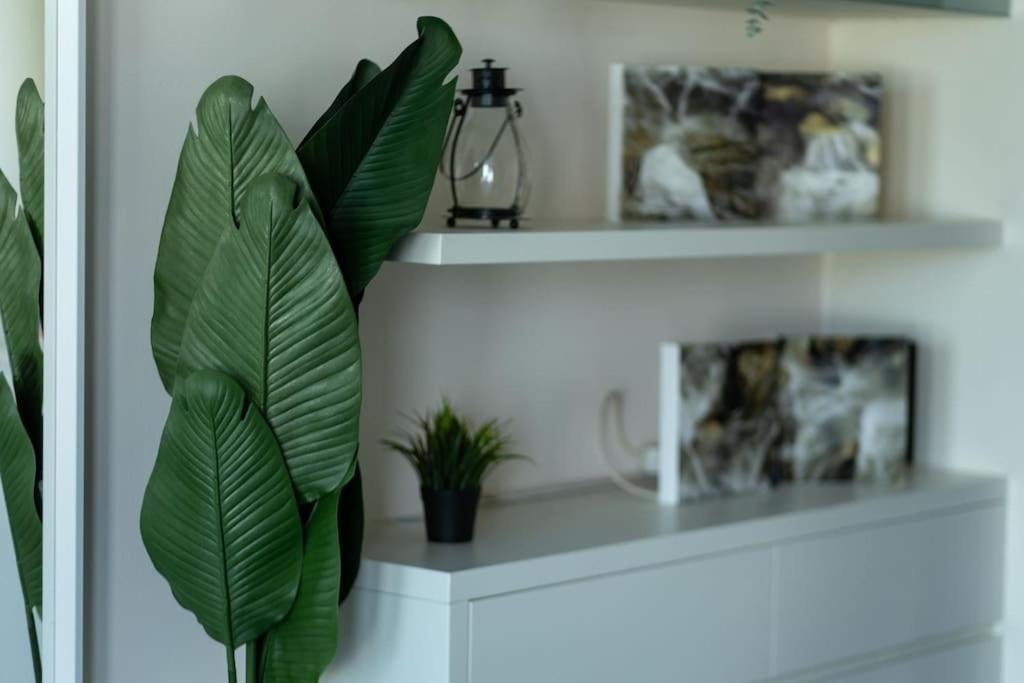 Deko Penthouse Daire