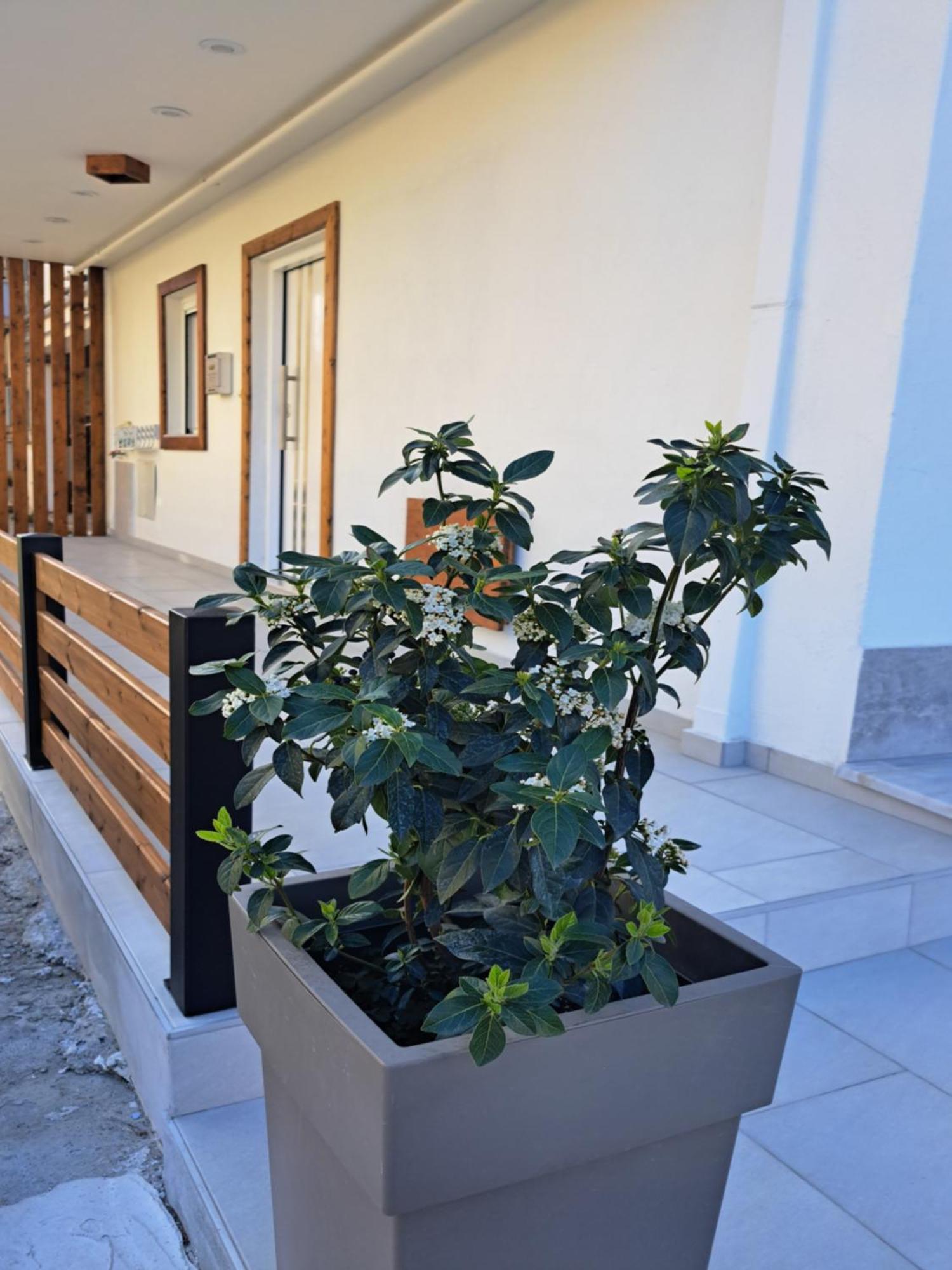 Ithaca σπίτι με αυτόνομη είσοδο Apartment *