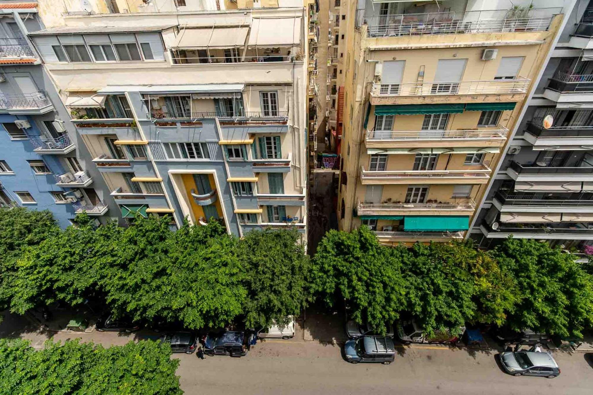 Urban Jungle *