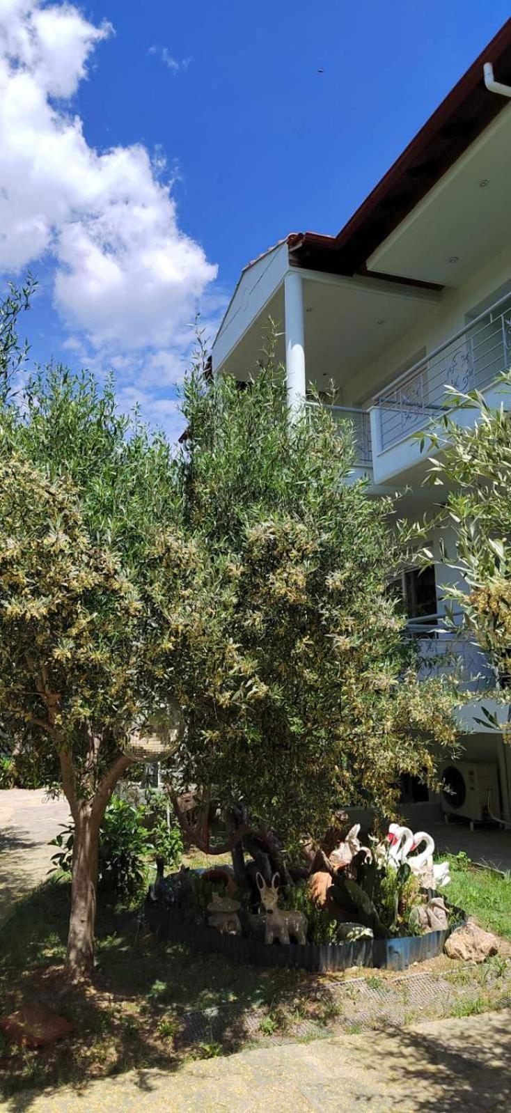 House Of Artemis E In Asprovalta * Thessaloniki
