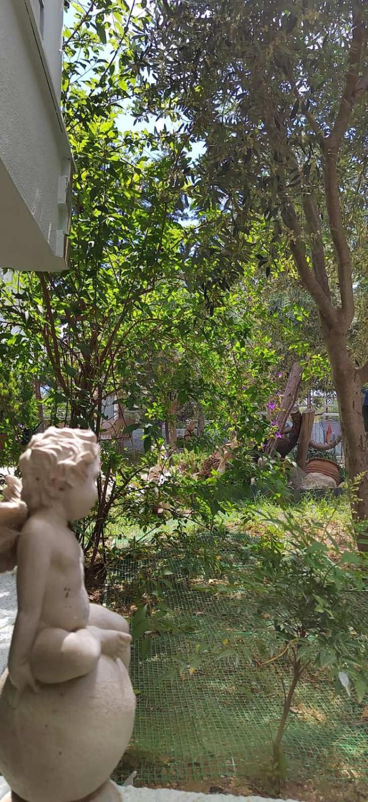 Apartment House Of Artemis E In Asprovalta *