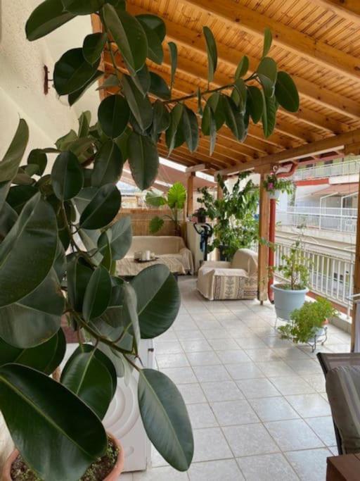 Apartment το σπίτι της παρασκευής