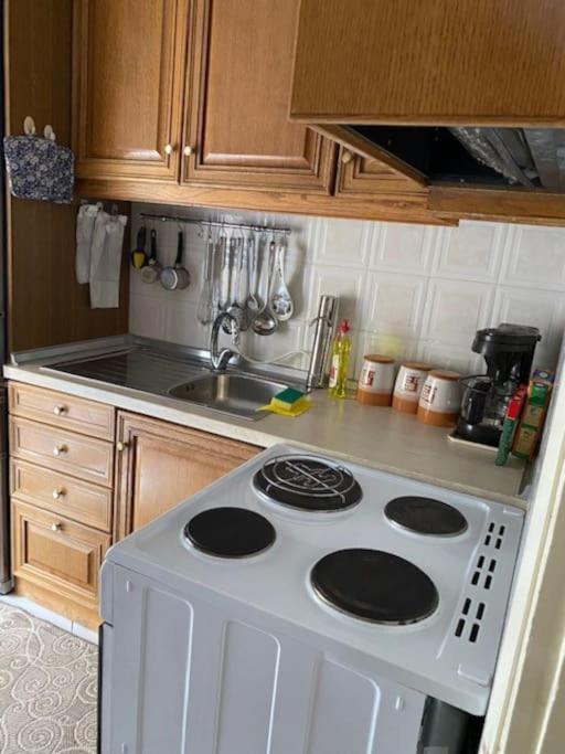 το σπίτι της παρασκευής Apartment Thessaloniki