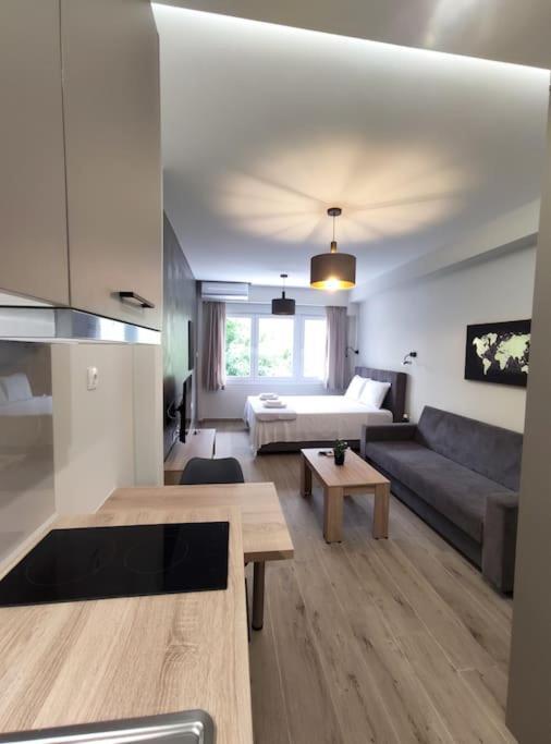 Apartment Luxury 1
