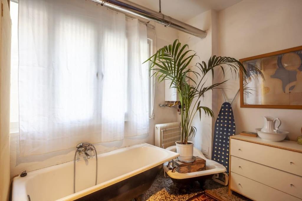 Greek Retro Decor & Wesanderson's Movies Design Apartment Thessaloniki